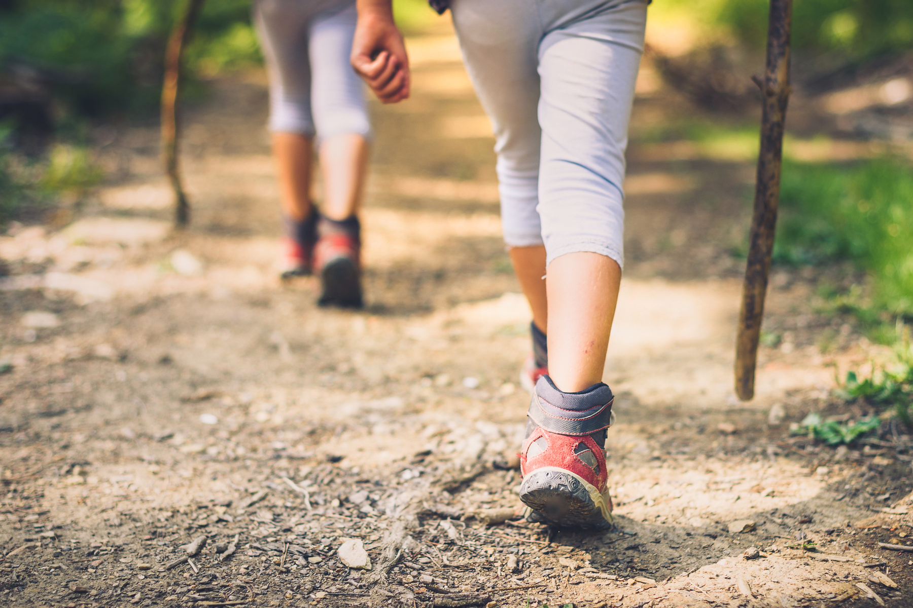 The Best Cobb County Spring Hikes Mark Naffziger